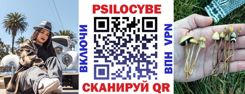 Галлюциногенные грибы Psilocybe  что такое   сайты даркнета как зайти  Домодедово 